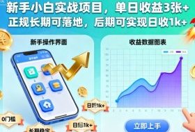 新手小白实战项目,单日收益3张+,正规长期可落地,后期可实现日收1k+【揭秘】
