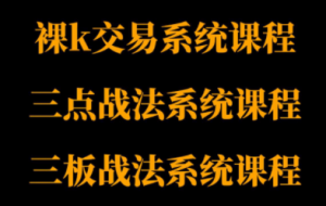 半山猎人三套系统课程(裸K体系、三点体系、三板体系)