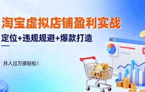 (16387期)淘宝虚拟店铺盈利实战:定位+违规规避+爆款打造,月入过万很轻松!