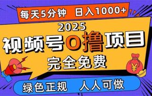 (16388期)2025视频号0撸项目,5分钟一个号,日入1000+,人人可做