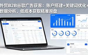 (16389期)外贸B2B谷歌广告获客:账户搭建+关键词优化+数据分析,低成本获取精准询盘