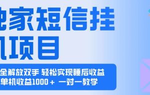 (16393期)2025全新电脑挂机项目  操作简单,单机当天收益1000+,收益无上限,可…