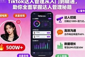 Tiktok达人管理从入门到精通,助你全面掌握达人管理秘籍