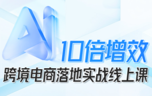 法老Pharaoh·跨境电商10倍增效,AI落地实战课