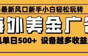 (16401期)2025最新风口 海外美金广告 单机单日500+ 可无限放大 设备越多收益越大…