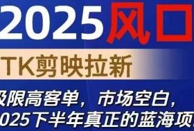 2025风口TK剪映capcut拉新项目,极限高客单,市场空白,2025下半年真正的蓝海项目