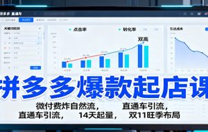 拼多多爆款起店课:微付费炸自然流,直通车引流,14天起量,双11旺季布局
