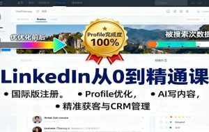 LinkedIn从0到精通课:国际版注册,Profile优化,AI写内容,精准获客与CRM管理