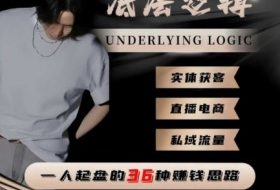 一个人起盘的底层逻辑,私域流量-直播电商-实体获客,一人起盘的36种賺钱思路