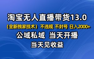 淘宝无人直播13.0,公域私域技术,不封号,不违规 布局下半年旺季赛道,日入2000+
