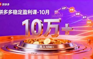 (16413期)拼多多稳定盈利课-10月,强付费SOP+微付费高投产+活动矩阵,单店月入10万+