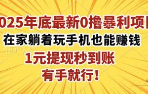 (16419期)2025年底最新0撸暴利项目,在家也能躺赚,1元秒提现,有手就行!