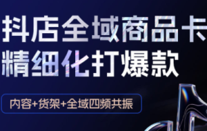 金戈·抖店爆单陪跑课-抖音小店爆单陪跑(更新10月)