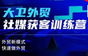 大卫老师·外贸社媒获客独家训练营(更新10月)