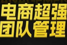 电商超强团队管理，组织绩效，到用人执行，分权合伙