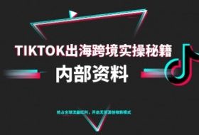 TikTok跨境电商0-1搭建运营,TK出海跨境实操秘籍(10月更新)