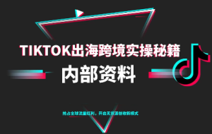 TikTok跨境电商0-1搭建运营(更新10月)