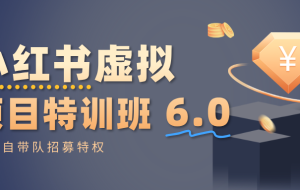 小红书虚拟项目特训班6.0 ,养号/选品/自动发货/爆款笔记(含40节视频课)