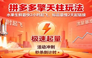 拼多多擎天柱玩法,水果生鲜最快2小时起飞,标品最慢2天起链接