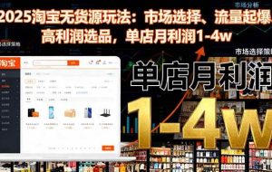 (16445期)2025淘宝无货源玩法:市场选择、流量起爆、高利润选品,单店月利润1-4w
