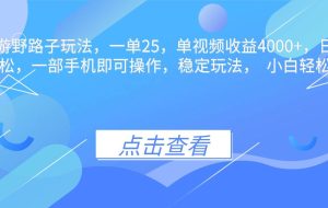 (16446期)抖音手游野路子玩法,一单25,单视频收益4000+,日入几千轻轻松松,一…