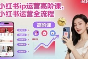 小红书ip运营高阶课,小红书运营全流程