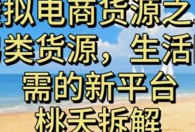 虚拟电商之三另类的货源,生活刚需的新平台