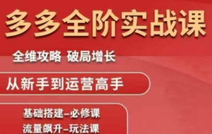 大炮·拼多多全阶实战课程（更新10月）