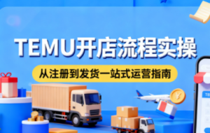 小凡老师·TEMU开店从0到1全流程实操课
