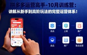 （16448期）拼多多运营高手-10月训练营：讲解从新手到高阶玩法的完整运营体系！
