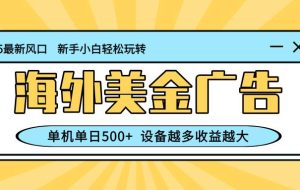 （16454期）最新蓝海项目，海外美金广告，单机单日500+，可矩阵放大，设备越多收益…