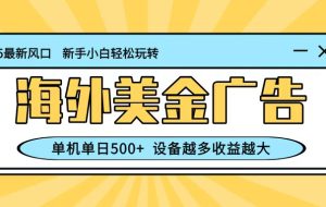 最新蓝海项目,海外美金广告,单机单日500+,可矩阵放大,设备越多收益越大