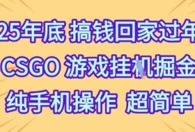 25年底搞钱回家过年，CSGO游戏挂G掘金，纯手机操作超简单【揭秘】