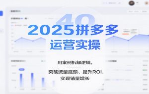 2025拼多多运营实操,用案例拆解逻辑,突破流量瓶颈、提升ROI,实现销量增长