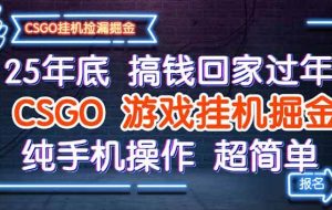 （16343期）25年底搞钱回家过年，CSGO游戏挂机掘金，纯手机操作超简单