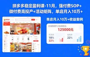 （16473期）拼多多稳定盈利课-11月，强付费SOP+微付费高投产+活动矩阵，单店月入10万+