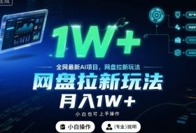 全网最新AI项目,网盘拉新玩法,小白也可上手操作,月入1W+【揭秘】