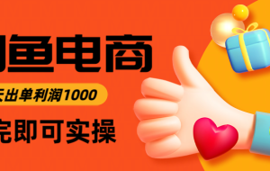 闲鱼高利润电商，当天上架当天出单，一单利润300＋