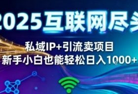 2025网创尽头王炸项目!私域IP+精准引流,新手小白在家躺賺日入1k,零经验也能上手【揭秘】