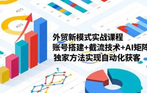 (16496期)外贸新模式实战课程,账号搭建+截流技术+AI矩阵+独家方法实现自动化获客