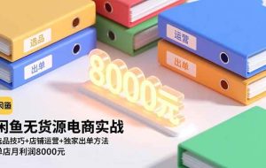 (16497期)闲鱼无货源电商实战,选品技巧+店铺运营+独家出单方法,单店月利润8000元