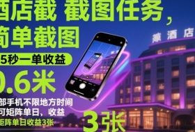 酒店截图任务,简单截图,15秒一单收益0.6米,一部手机不限地方时间,可矩阵单日收益3张【揭秘】