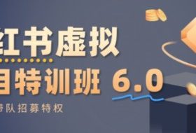 小红书虚拟项目特训课6.0，帮你从0到1打造稳定盈利的店铺，抓住流量红利