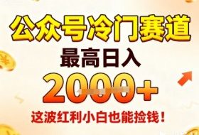 公众号冷门赛道,最高日入1k+,这波红利小白也能捡钱!