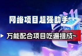 网络项目万能辅助工具_万能配合拉新项目吃遍提成