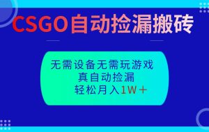CSGO自动捡漏搬砖,当天操作当天见结果,无需了解游戏,包教包会包落地