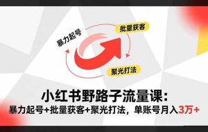 (16513期)小红书野路子流量课:暴力起号+批量获客+聚光打法,单账号月入3万+