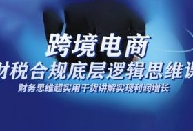 跨境电商财稅合规底层逻辑思维课，财务思维超实用于货讲解实现利润增长