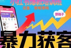 小红书爆款培训班，小红书获客野路子流量打法，暴力持续获客