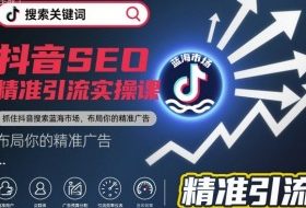抖音SEO精准引流实操课，抓住抖音搜索蓝海市场，布局你的精准广告